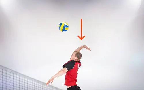 arms used for serve
