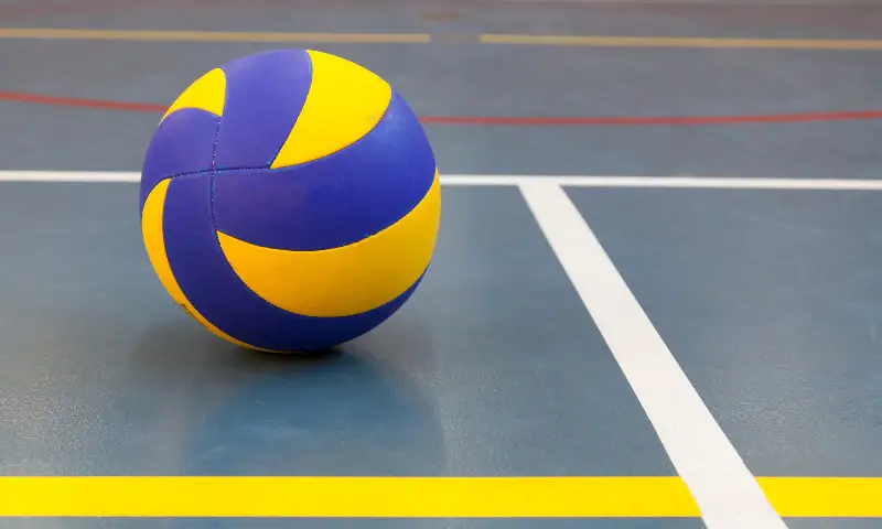 expensive volleyball