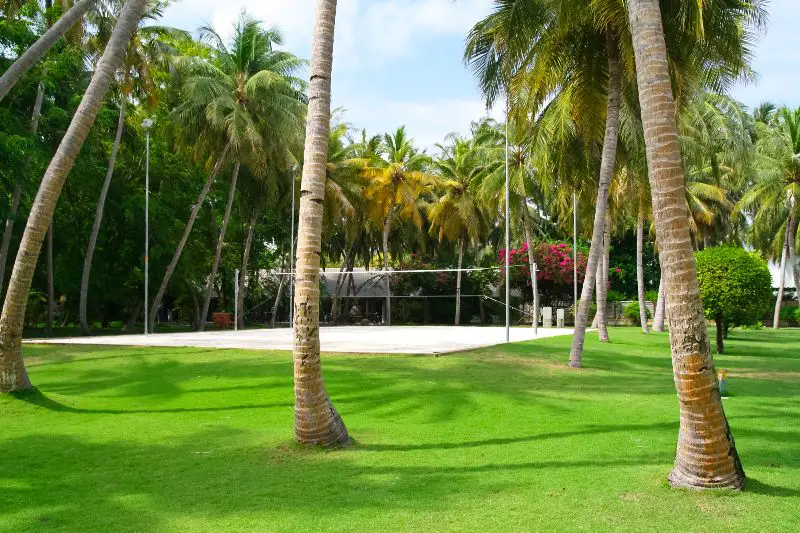 how to build a beach volleyball court in backyard