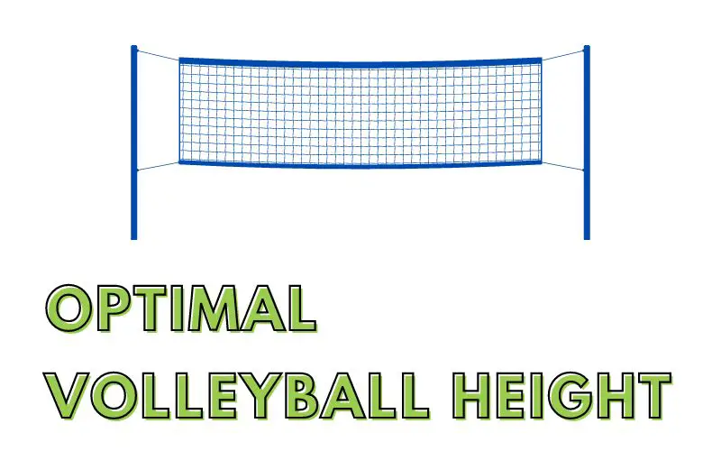 How High Does a Volleyball Net Need to be? (With Examples!) Volley Expert