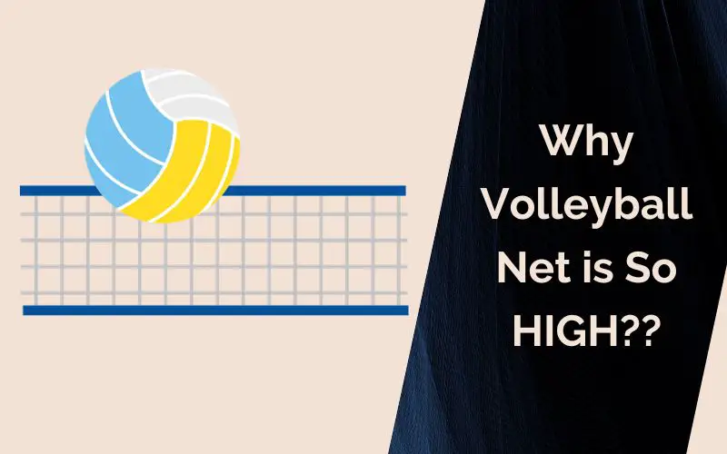 Why Volleyball Net is So HIGH